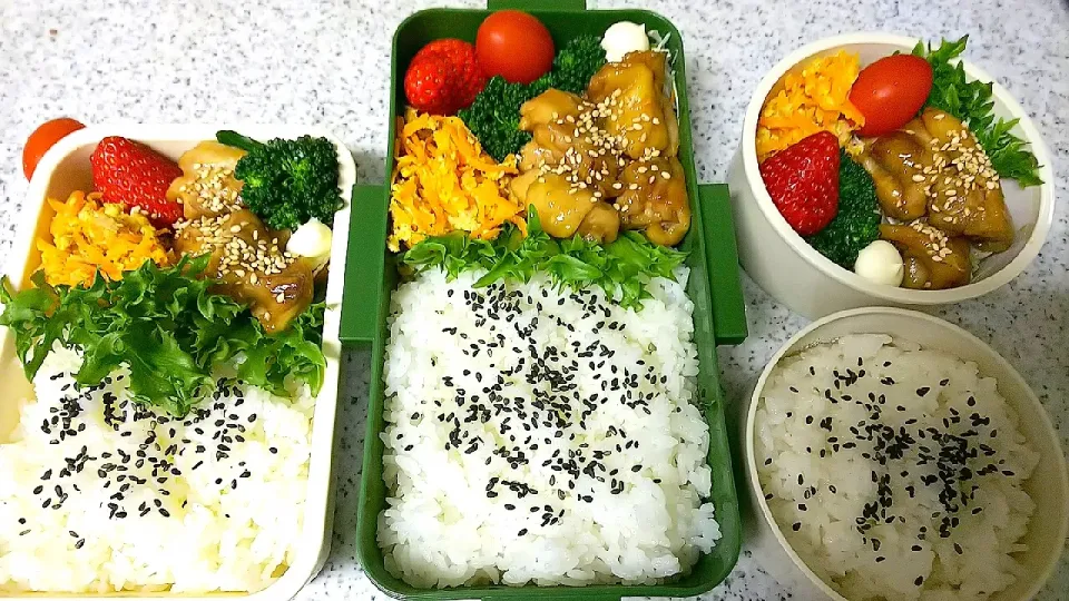 家族弁当|かねしろ食堂さん