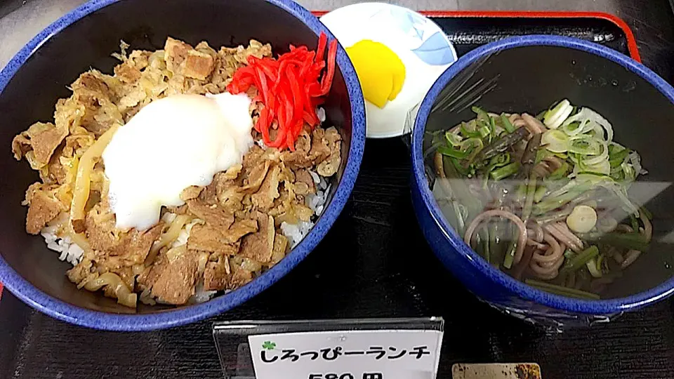 Snapdishの料理写真:温玉のせ牛丼＆ハーフ山菜そばセット|nyama1さん