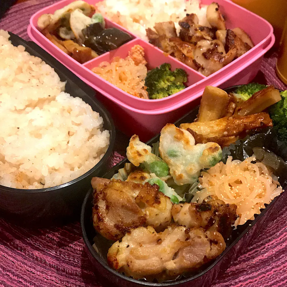 今日のお弁当🍱|mokoさん