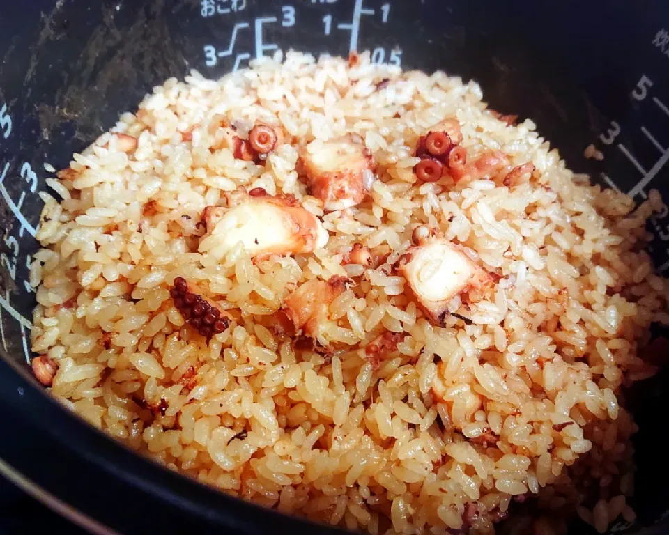 ショウガがきいてる！やわらかタコめし～💖
#E・レシピ
#柔らか煮を使って作りました♪
#生姜&出し昆布を追加したら美味い～😍|GGGさん