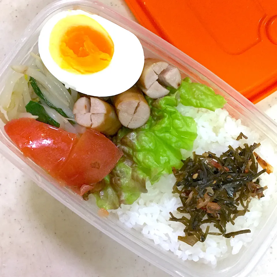 Today's lunch box|hoppycowさん