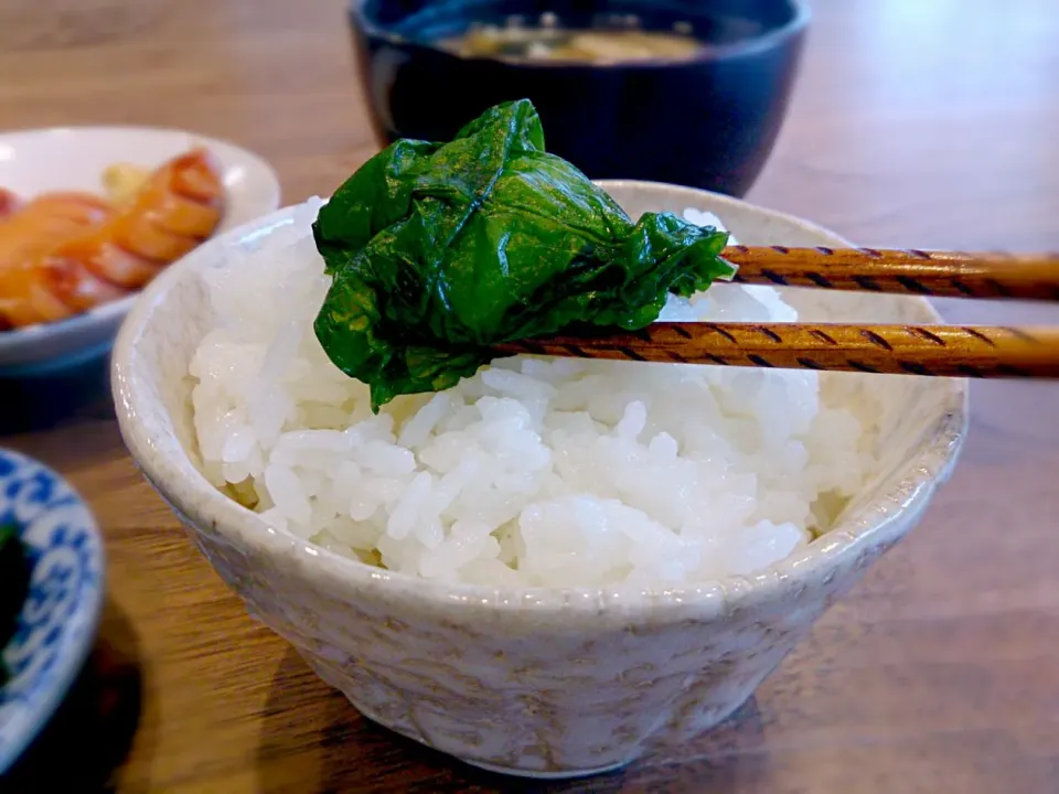 ばしょな漬けでご飯をくるり|古尾谷りかこさん