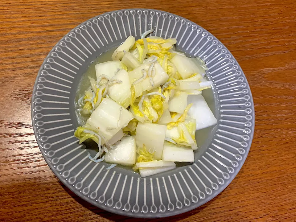 白菜としらすのあっさり漬け|SALLYさん