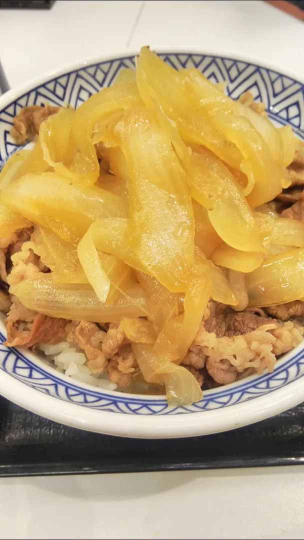 本日発売開始　ねぎだく牛丼@吉野家|watarunさん