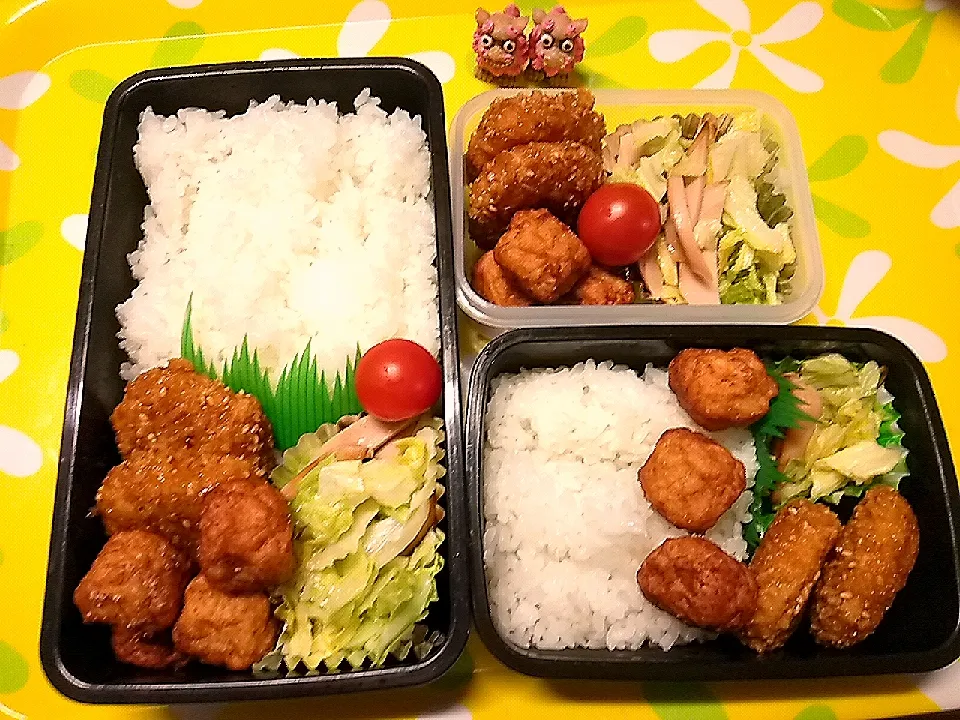 夫の弁当、娘の弁当、私の弁当|みどりさん