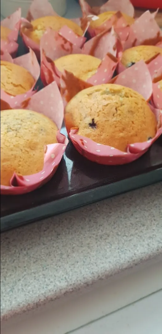 CORNFINS, BLUEBERRY AND CORNMEAL MUFFINS. HOMEBAKING|taurean66さん