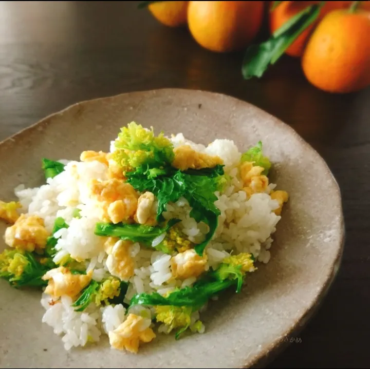 アッチさんの料理 菜の花ごはん|うさかめさん