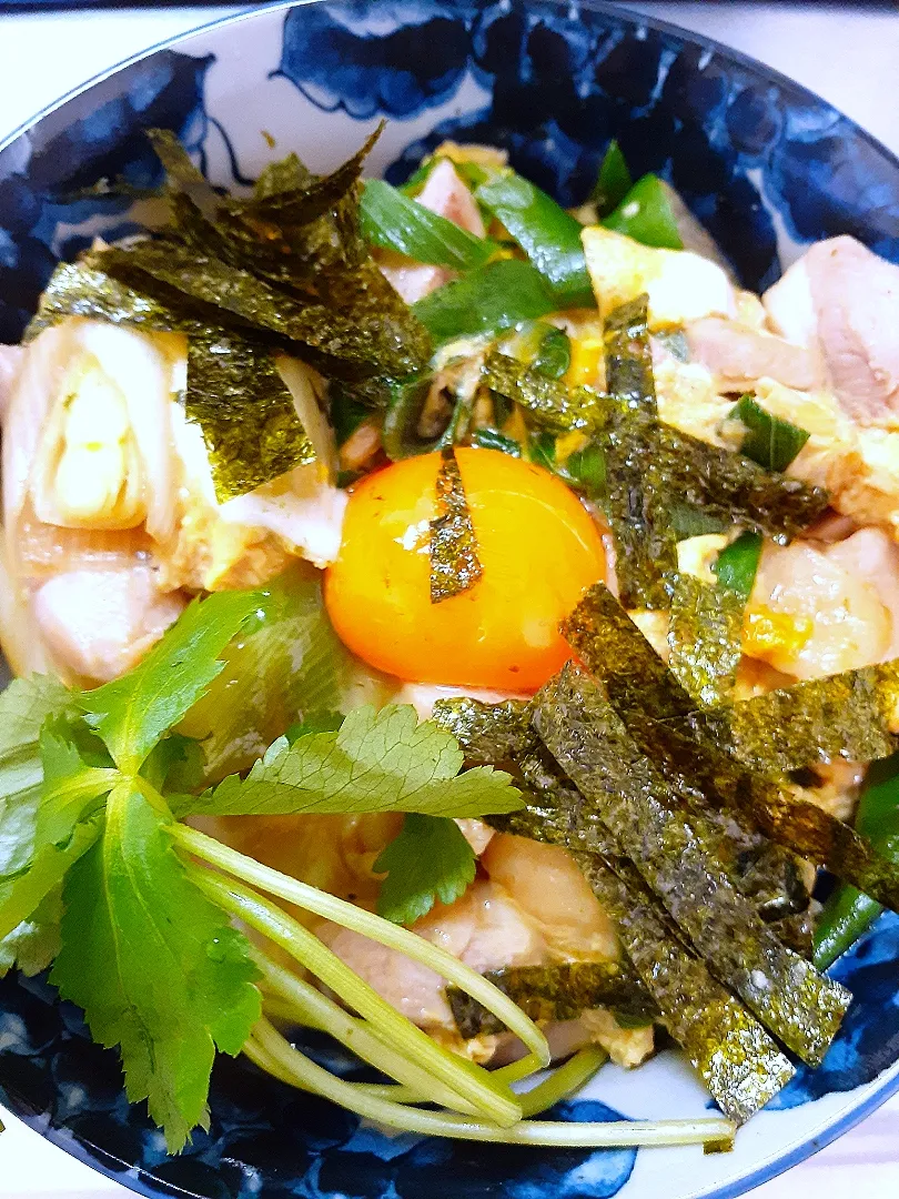 🔷下仁田ネギと🐓🐓地鶏の汁だく🐣親子丼🔷|@きなこさん