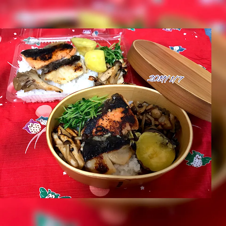 Snapdishの料理写真:2019/1/7鮭・銀鱈味噌漬け弁当|のりまきさん