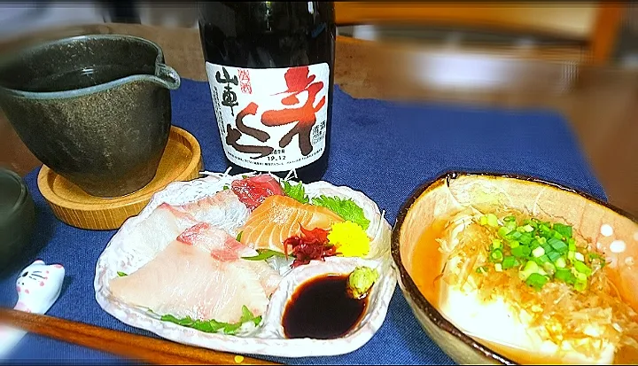 お刺身盛り合わせ🐟
  温豆腐✴️|びせんさん