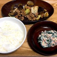 ☆ナスと豚肉の焼肉のたれ炒め ☆ほうれん草白和え