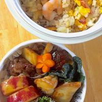 海老入りチャーハンと揚げ餃子のお弁当