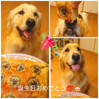 ☆バースデー🎂