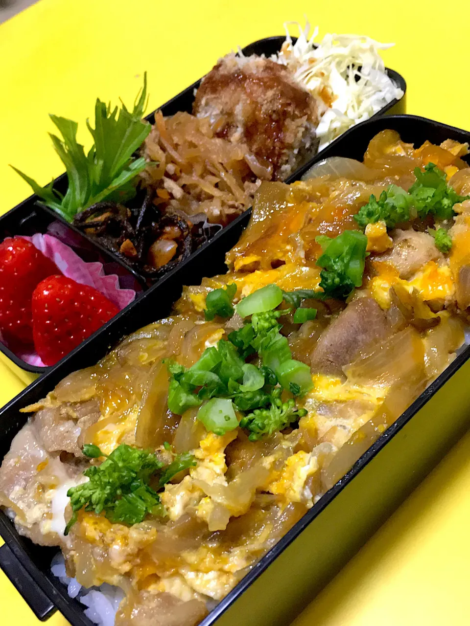 Snapdishの料理写真:親子丼弁当|4jemさん