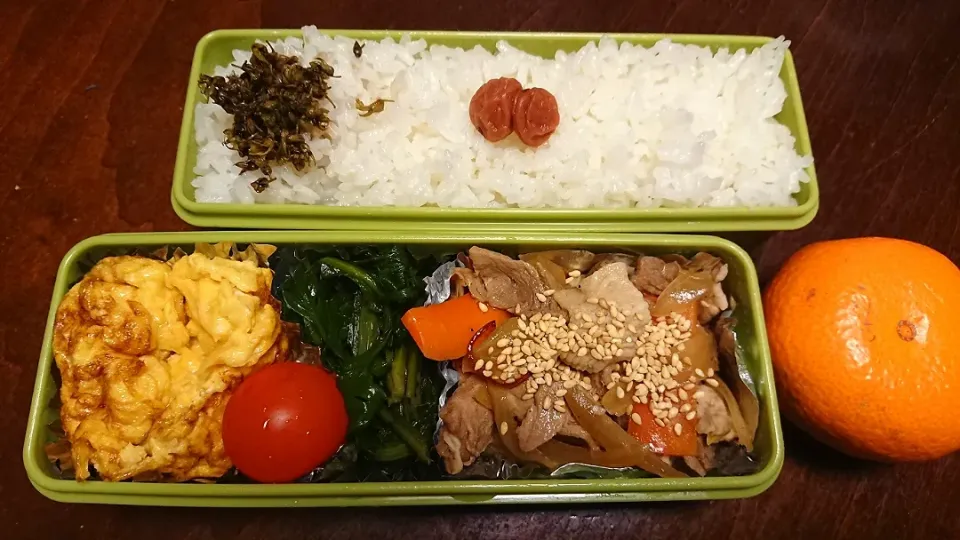 豚肉と玉葱炒め弁当|りょーさん