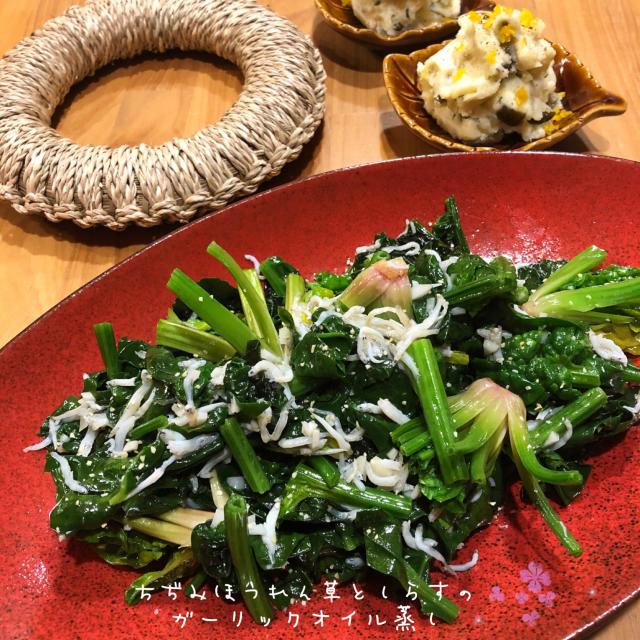 ちぢみほうれん草としらすのガーリックオイル蒸し こずえ Snapdish スナップディッシュ Id Wrqqbaa