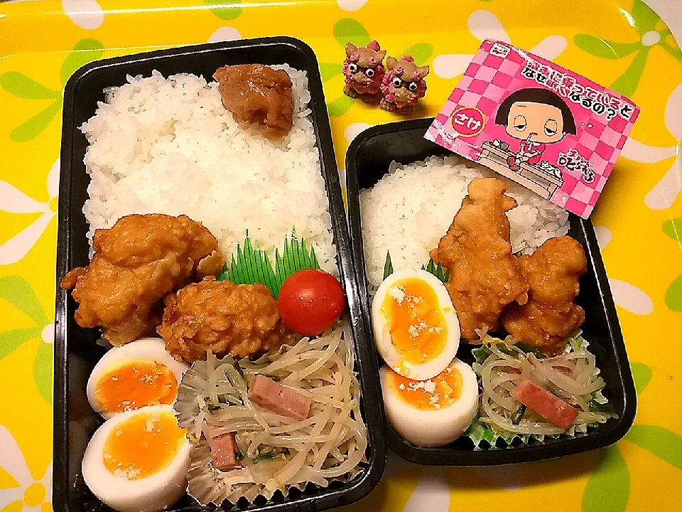 夫の弁当、娘の弁当|みどりさん