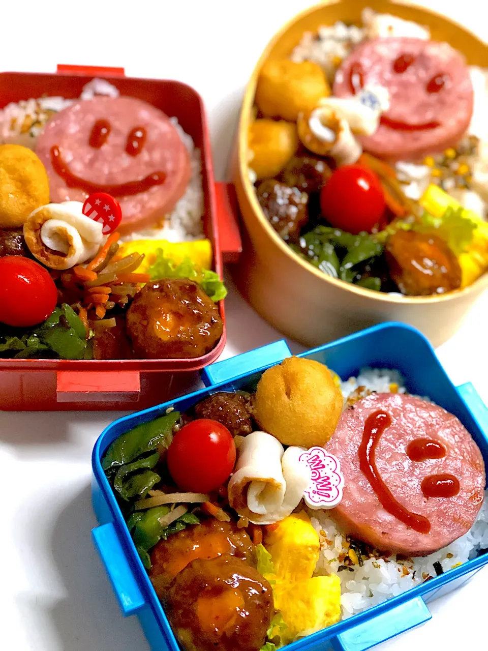 Snapdishの料理写真:今日のお弁当🍱|三姉妹のママさん