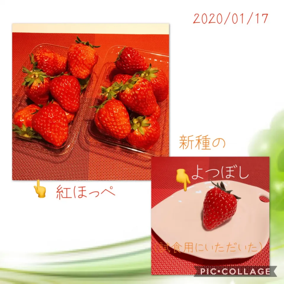 Snapdishの料理写真:#よつぼし（新種の苺🍓）|みすてりあすゆっこさん