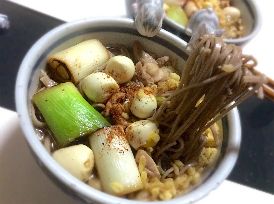 下仁田ネギ焼き、鶏肉、うずらたまぐぉ入れたお蕎麦|Takeshi  Nagakiさん