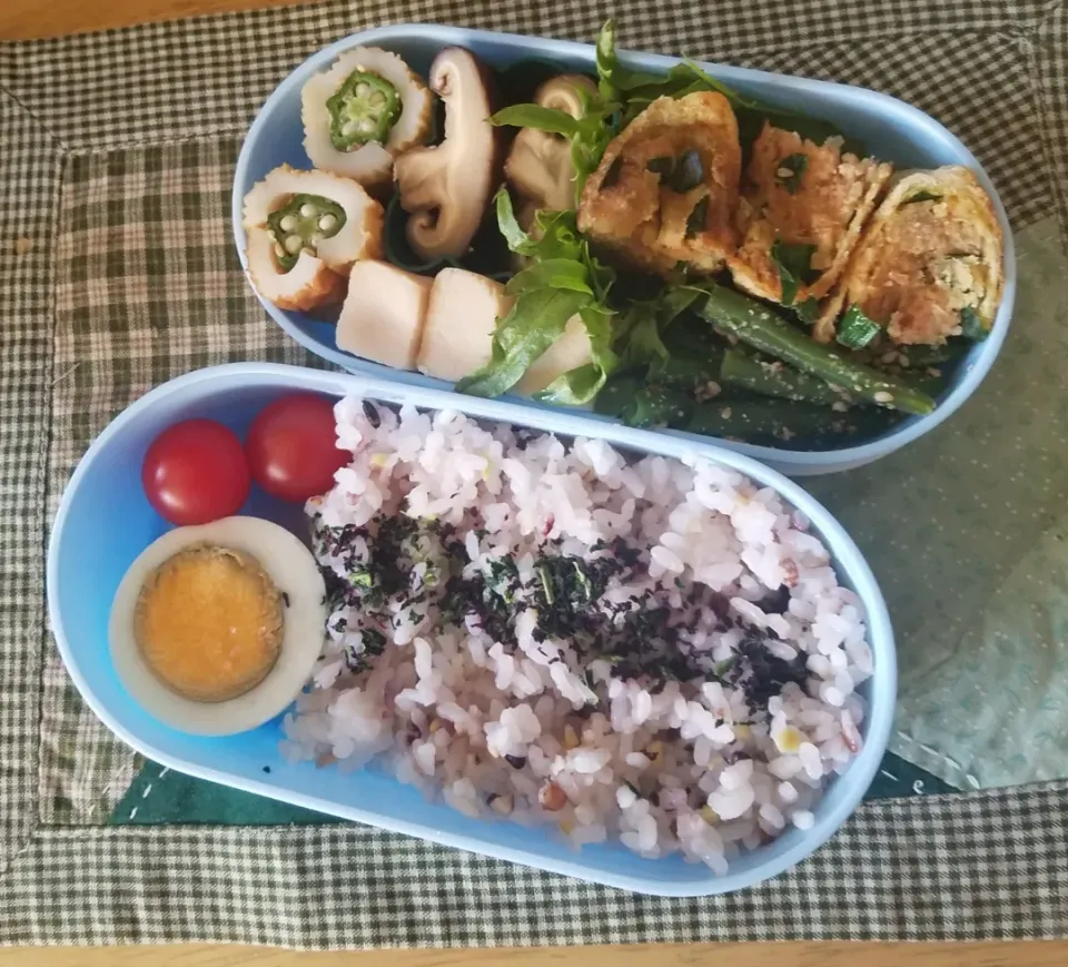 卵のヘルシーお弁当👩|ポロポロさん