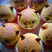 cotta さんの動画サイトから