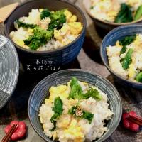 アッチさんの料理 菜の花ごはん☘🐝春を待つご飯🍚