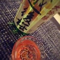 ★越後桜(新潟)