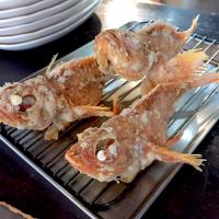 ノドグロ唐揚げ。その後