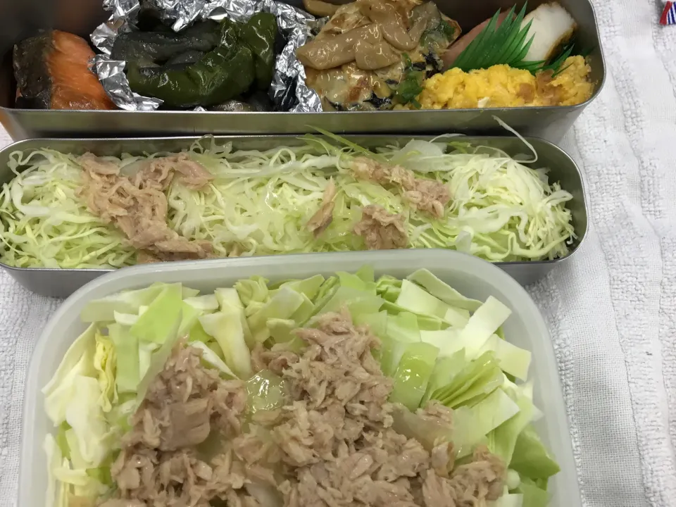 糖質制限のお弁当|ari526msxさん