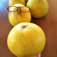 どデカ🍊ザボン🍊