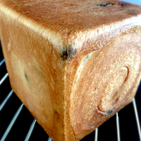 レーズン食パン🍇