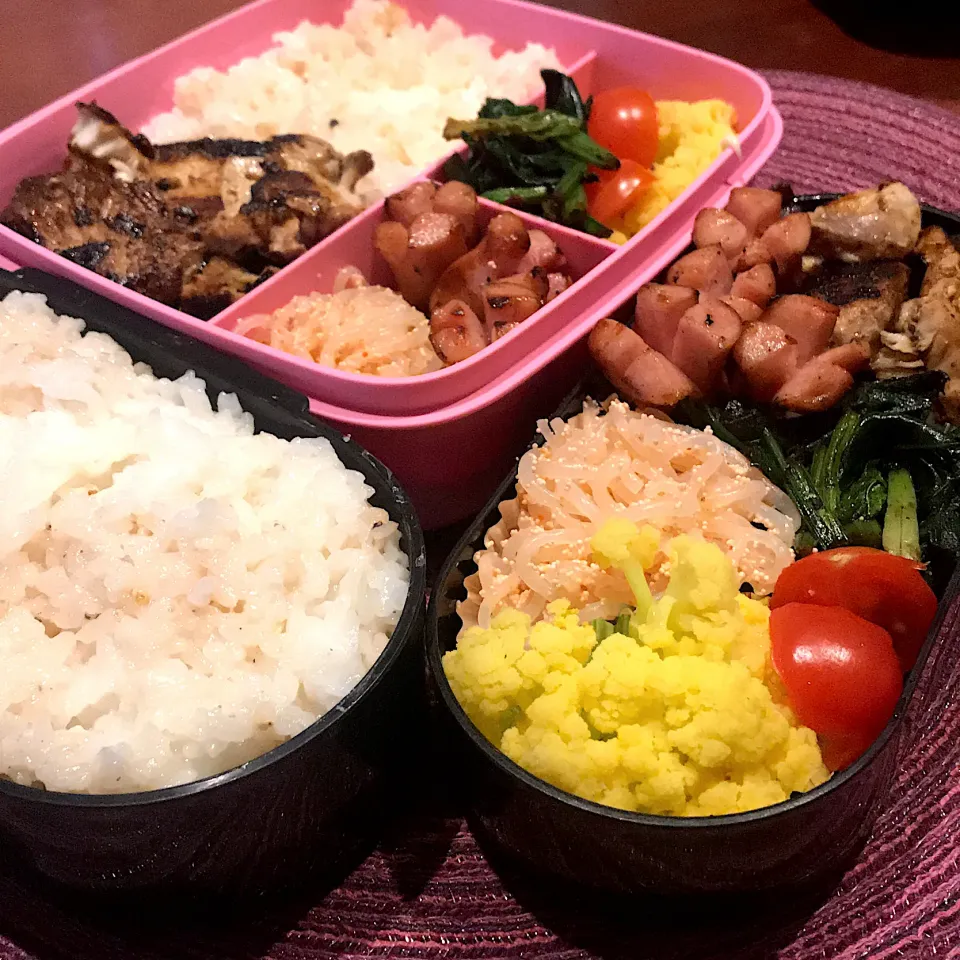 今日のお弁当🍱|mokoさん