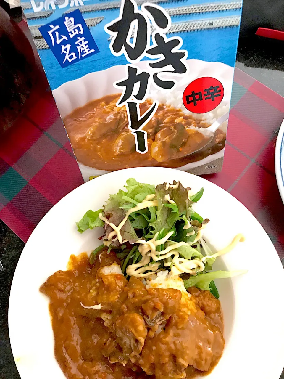 広島産かきカレー1／２２華麗なるカレーの日|シュトママさん