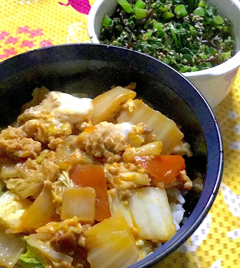 白菜と鶏ミンチの味噌味丼|掛谷節子さん