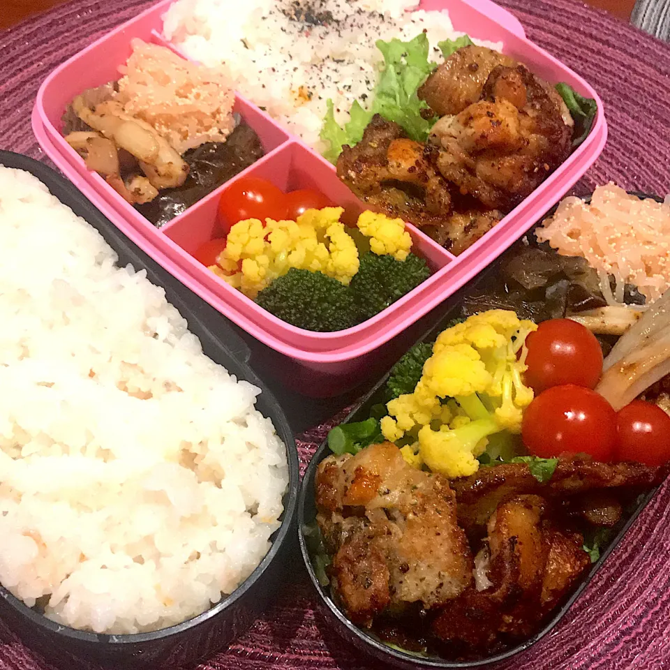 今日のお弁当🍱|mokoさん