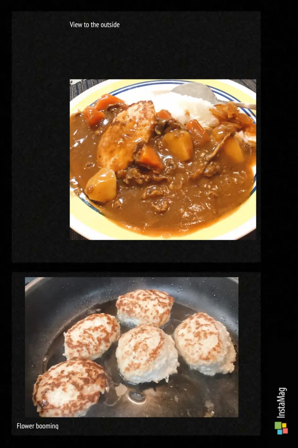 今宵は、豆腐ハンバーグカレー🍛😋|アライさんさん