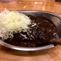 ゴーゴーカレー ヘルシーサイズ