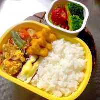 Snapdishの料理写真:月一のお弁当(1月|茉莉さん