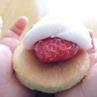 ✽雪苺娘🍓風✽