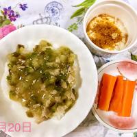 1歳✨ご飯✨豚と茄子とピーマンの味噌炒め風丼