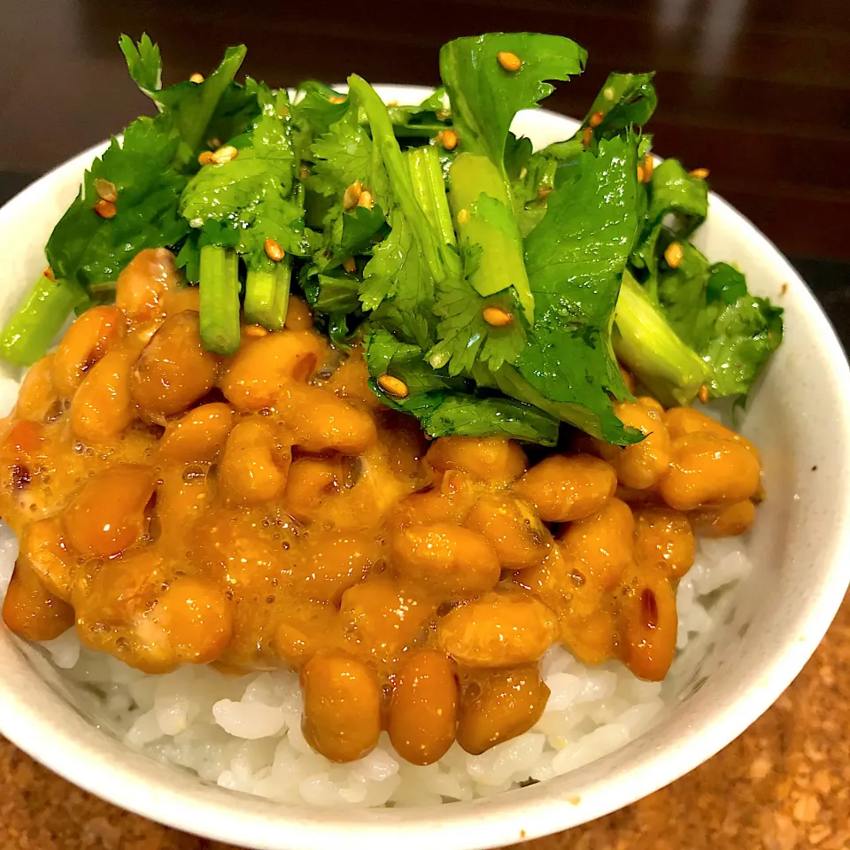 パクチー納豆ご飯🍚✨|ヨッチャンさん