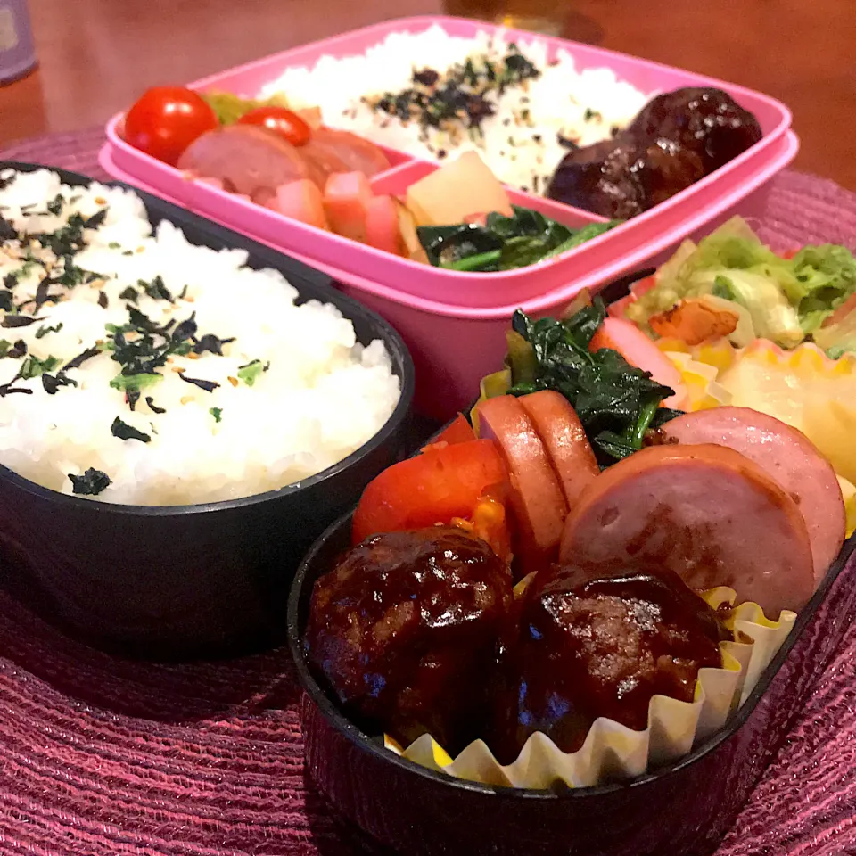 Snapdishの料理写真:今日のお弁当🍱|mokoさん