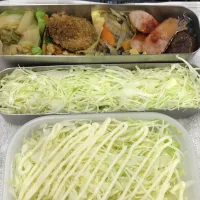 Snapdishの料理写真:糖質制限のお弁当|ari526msxさん