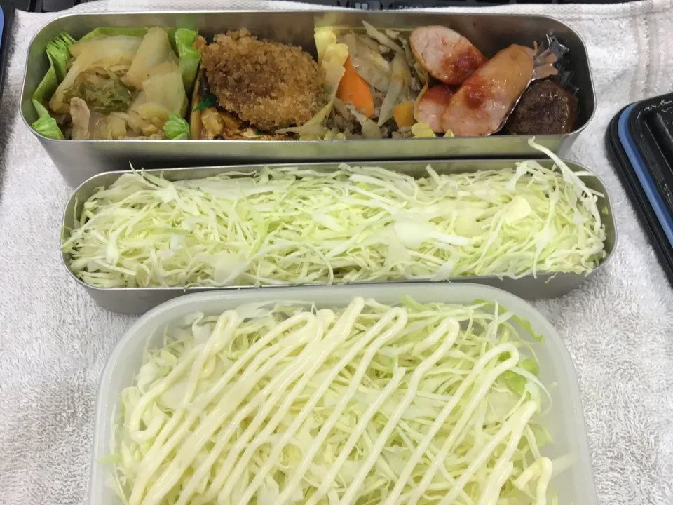 糖質制限のお弁当|ari526msxさん