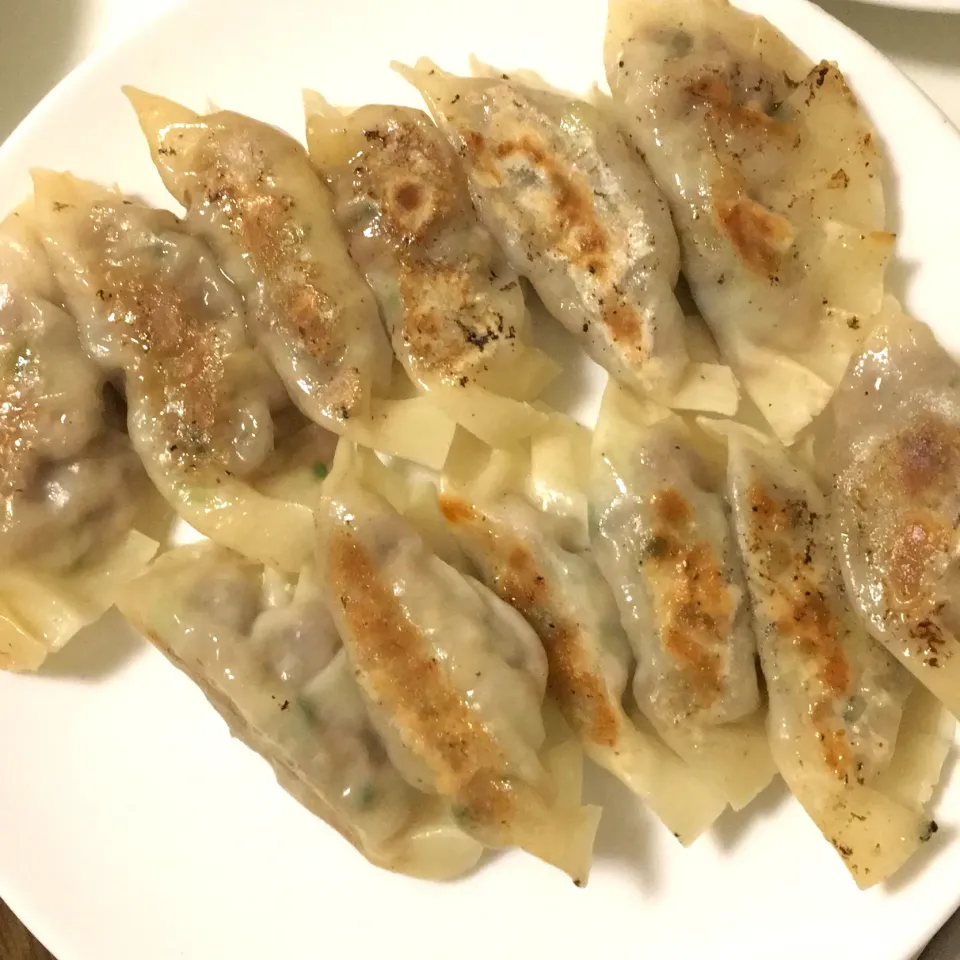 ギョーザ|arupaka3seiさん