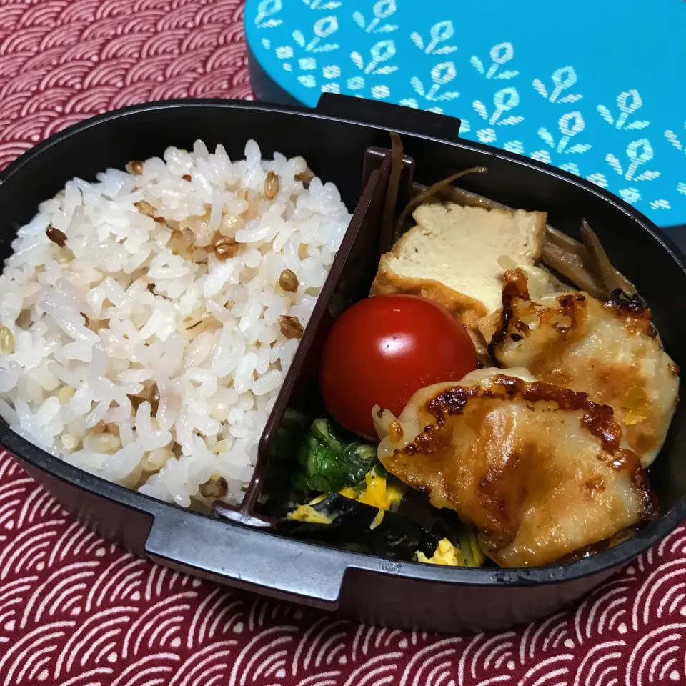 餃子弁当🥟|aru_sakazakさん