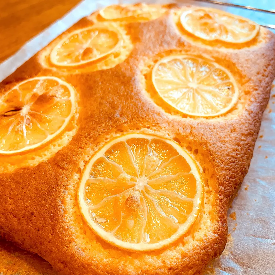 レモンケーキ🍋国産レモン♡無農薬🍋安心安全|いちごさん