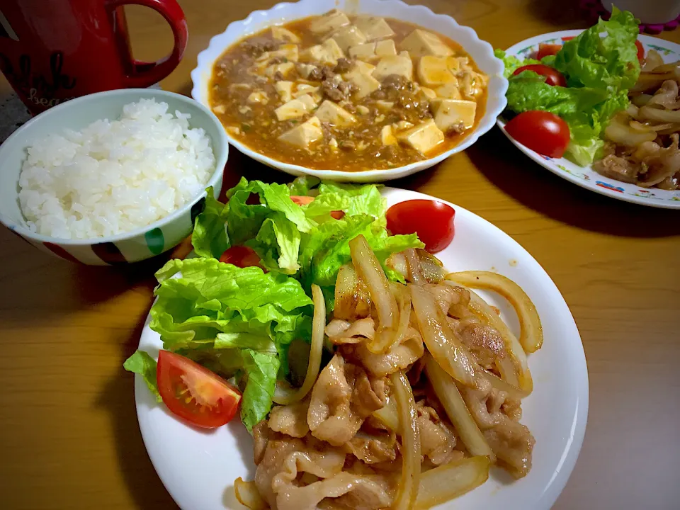 Snapdishの料理写真:2020.1.19の夕ご飯男飯絆は、
焼肉と麻婆豆腐(^^)|ひーちゃんさん