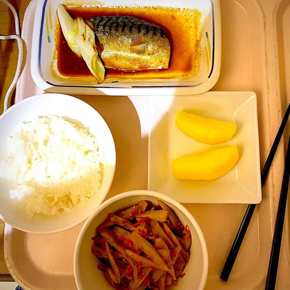 白飯、鯖味噌煮、焼きネギ、金平ゴボウ、煮豆|yakinasuさん